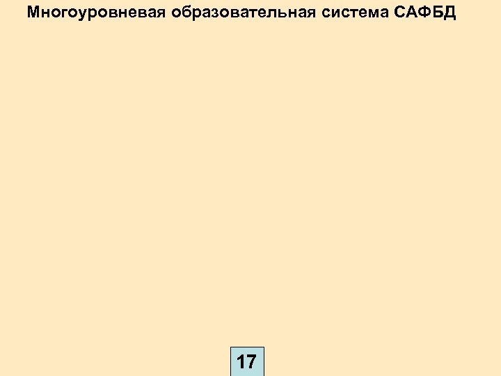 Многоуровневая образовательная система САФБД 17 