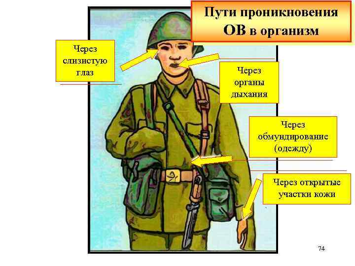 Пути проникновения ОВ в организм Через слизистую глаз Через органы дыхания Через обмундирование (одежду)
