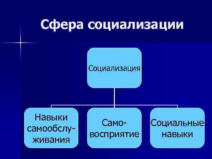 Сфера социализации Социализация Навыки самообслуживания Самовосприятие Социальные навыки 