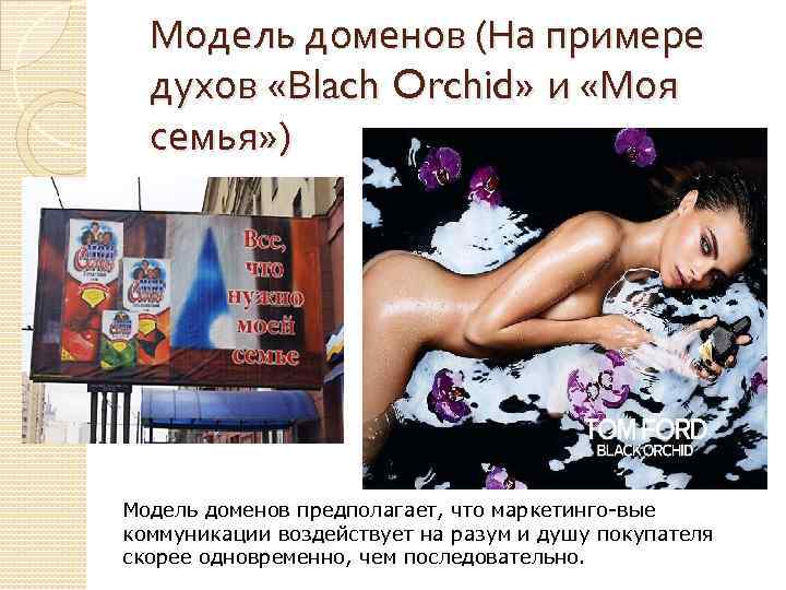 Модель доменов (На примере духов «Вlach Orchid» и «Моя семья» ) Модель доменов предполагает,