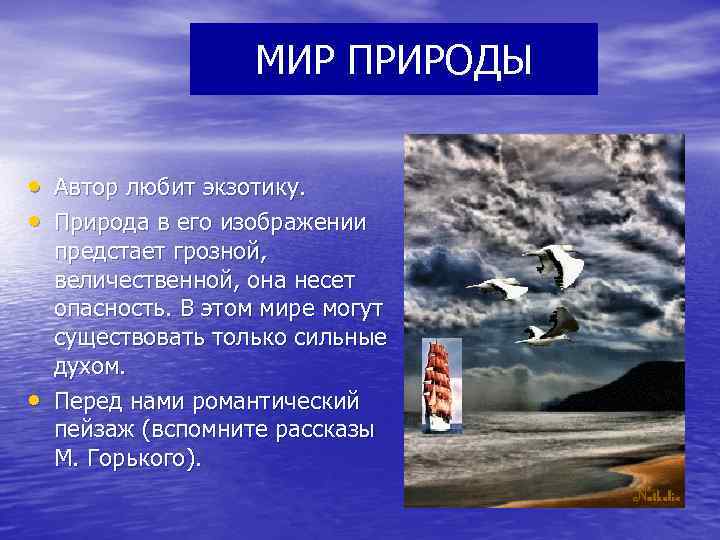 МИР ПРИРОДЫ • Автор любит экзотику. • Природа в его изображении • предстает грозной,