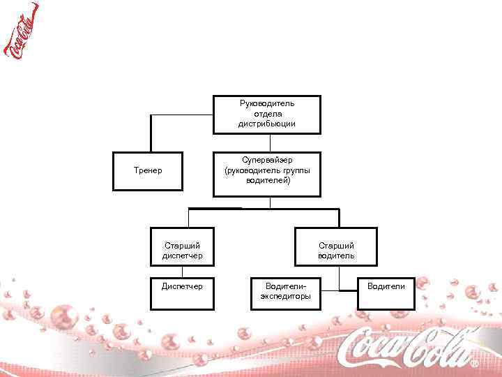 Руководитель отдела дистрибьюции Супервайзер (руководитель группы водителей) Тренер Старший диспетчер Диспетчер Старший водитель Водителиэкспедиторы
