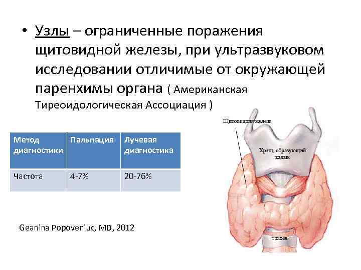 Выпадение внутренних геморроидальных узлов фото