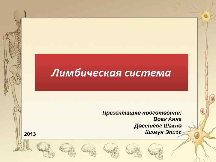 Лимбическая система 2013 Презентацию подготовили: Вовк Анна Достиева Шахло Шамун Элиас 