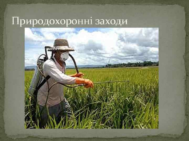 Природохороннi заходи 