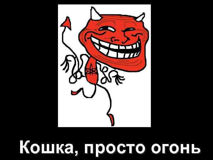 Кошка, просто огонь 