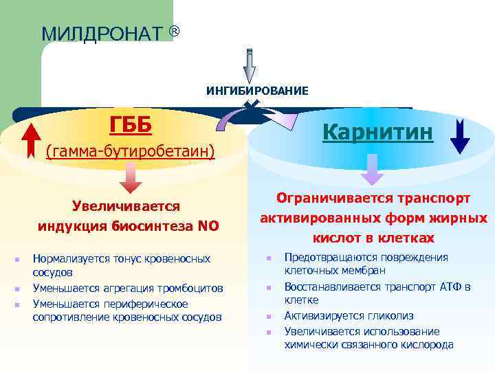 МИЛДРОНАТ ® ИНГИБИРОВАНИЕ ГББ Карнитин (гамма-бутиробетаин) Увеличивается индукция биосинтеза NO n n n Нормализуется