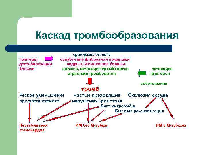 Каскад тромбообразования триггеры дестабилизации бляшки «ранимая» бляшка ослабление фиброзной покрышки надрыв, изъявление бляшки адгезия,