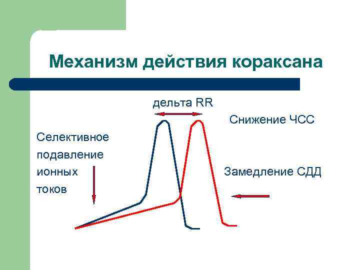 Механизм действия кораксана дельта RR Снижение ЧСС Селективное подавление ионных токов Замедление СДД 
