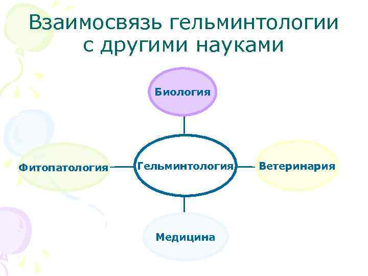 Взаимосвязь гельминтологии с другими науками Биология Фитопатология Гельминтология Медицина Ветеринария 