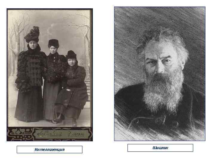 Интеллигенция Шишкин 