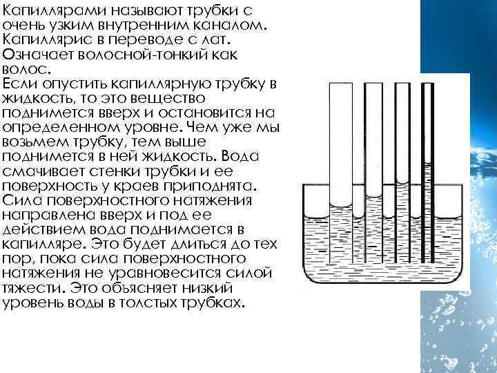 Капиллярами называют трубки с очень узким внутренним каналом. Капиллярис в переводе с лат. Означает