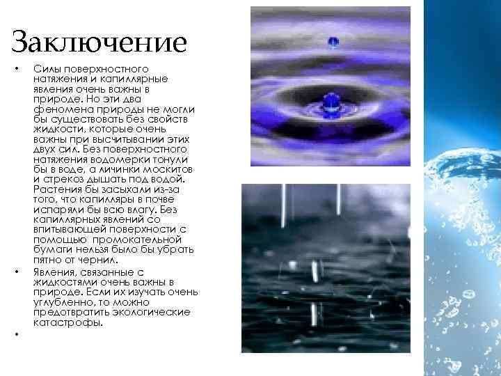 Заключение • • • Силы поверхностного натяжения и капиллярные явления очень важны в природе.
