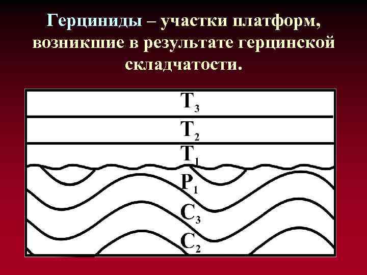 Герциниды – участки платформ, возникшие в результате герцинской складчатости. 