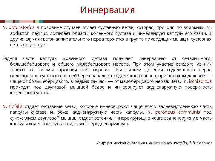 Иннервация N. obturatorius в половине случаев отдает суставную ветвь, которая, проходя по волокнам m.