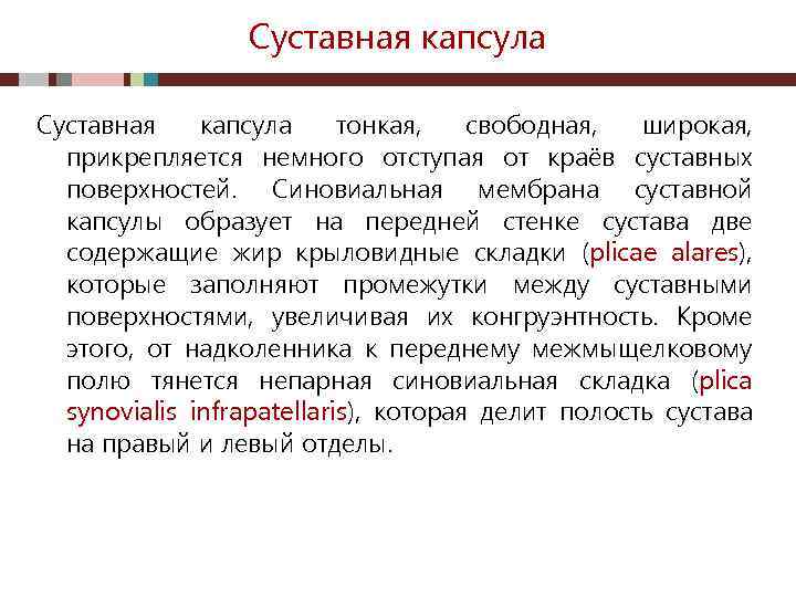 Суставная капсула тонкая, свободная, широкая, прикрепляется немного отступая от краёв суставных поверхностей. Синовиальная мембрана