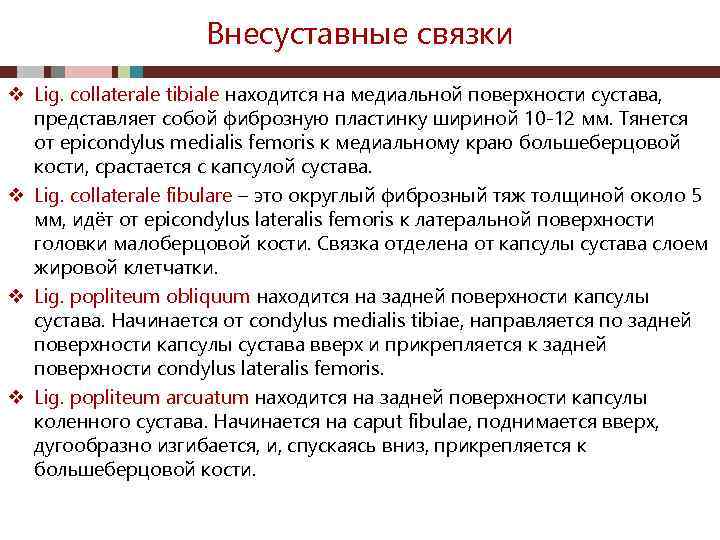 Внесуставные связки v Lig. collaterale tibiale находится на медиальной поверхности сустава, представляет собой фиброзную