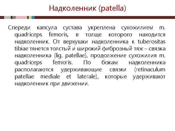 Надколенник (patella) Спереди капсула сустава укреплена сухожилием m. quadriceps femoris, в толще которого находится