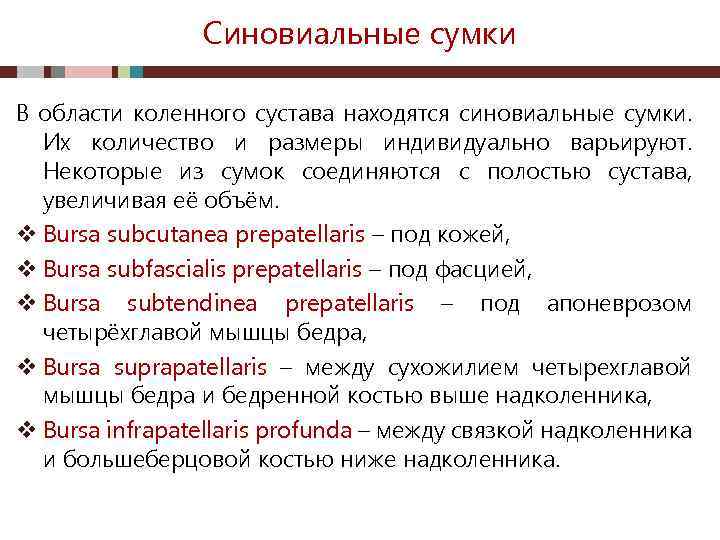 Синовиальные сумки В области коленного сустава находятся синовиальные сумки. Их количество и размеры индивидуально