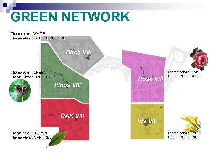 GREEN NETWORK Theme color : WHITE Theme Plant : WHITE BIRCH TREE Birch Vill