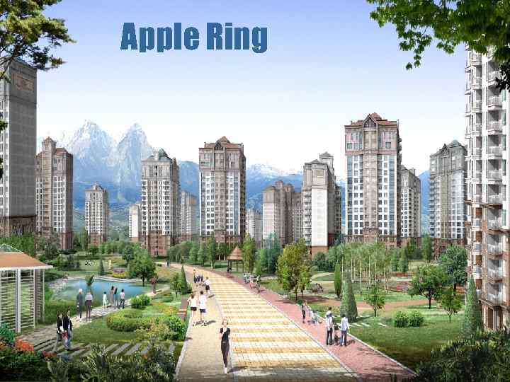 26 Apple Ring 