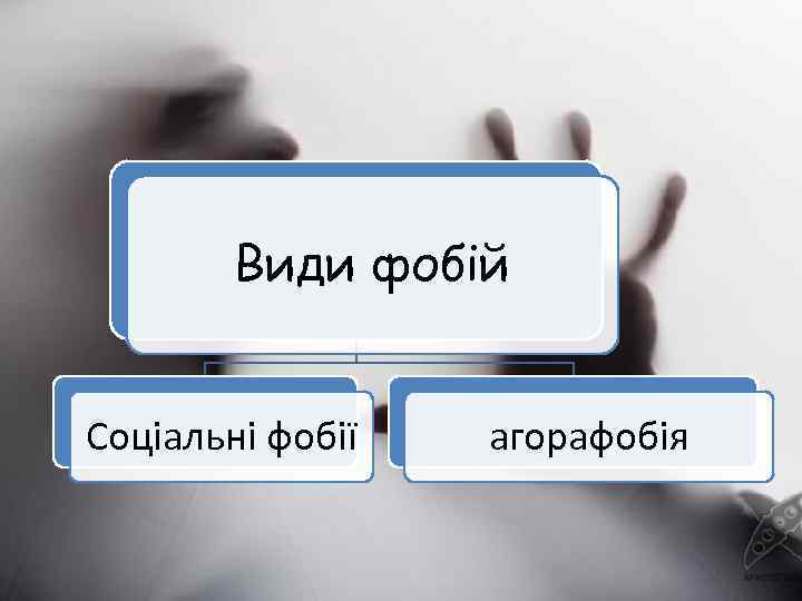 Види фобій Соціальні фобії агорафобія 