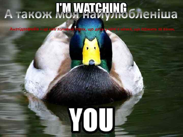 Анатідаефобія – це нав’язливий страх, що десь у світі є качка, що стежить за