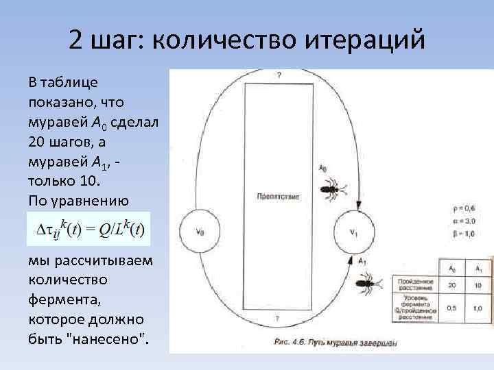 2 шаг: количество итераций В таблице показано, что муравей A 0 сделал 20 шагов,