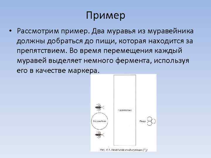 Пример • Рассмотрим пример. Два муравья из муравейника должны добраться до пищи, которая находится