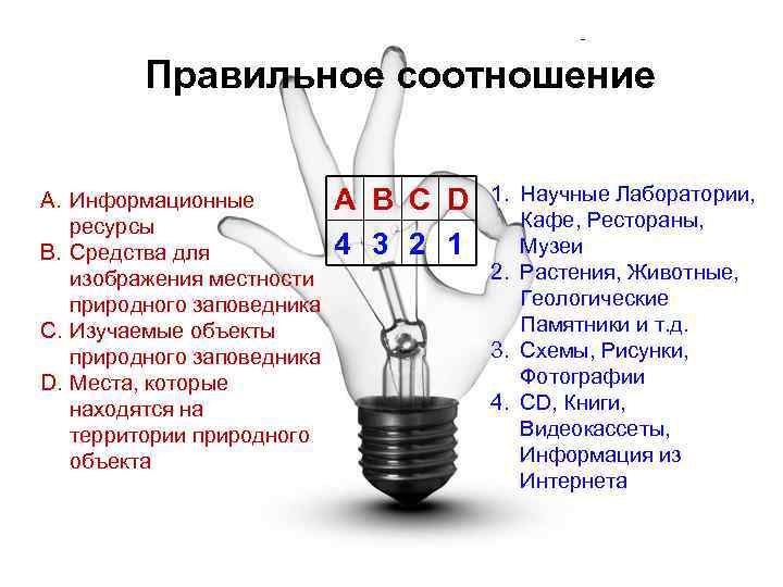 Правильное соотношение A. Информационные ресурсы B. Средства для изображения местности природного заповедника C. Изучаемые