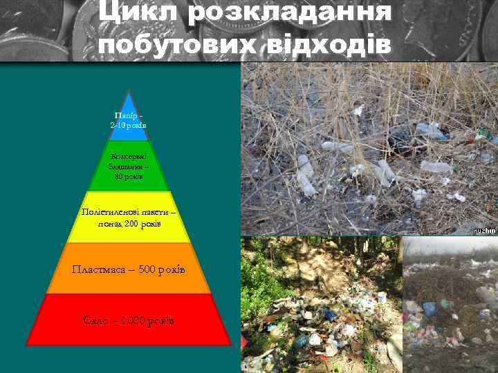 Цикл розкладання побутових відходів Папір 2 -10 років Консервні бляшанки – 80 років Поліетиленові