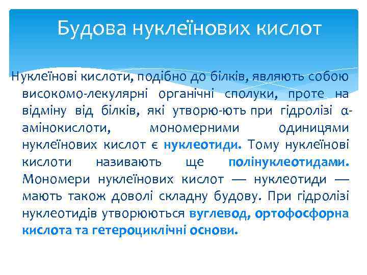 Будова нуклеїнових кислот Нуклеїнові кислоти, подібно до білків, являють собою високомо лекулярні органічні сполуки,