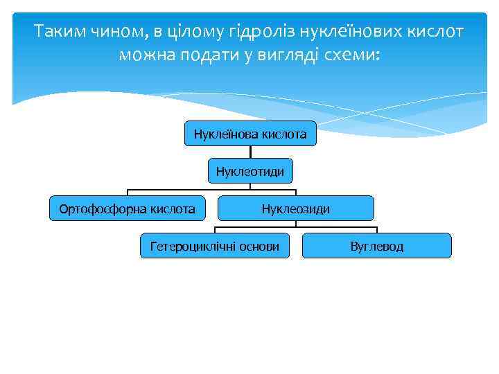 Таким чином, в цілому гідроліз нуклеїнових кислот можна подати у вигляді схеми: Нуклеїнова кислота