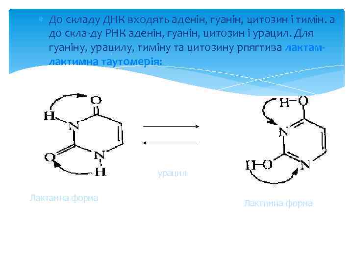  До складу ДНК входять аденін, гуанін, цитозин і тимін. а до скла ду