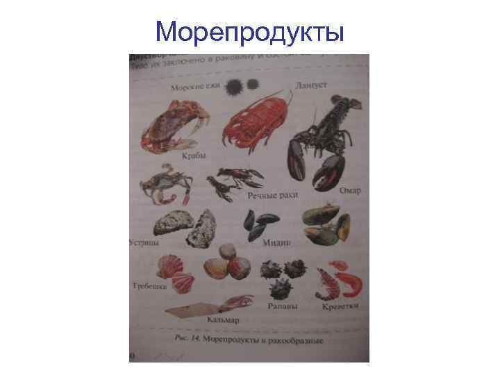 Морепродукты 