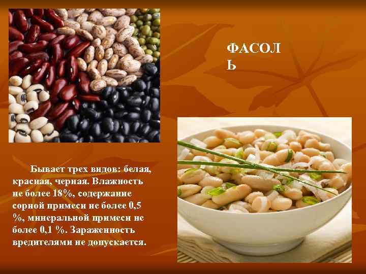 ФАСОЛ Ь Бывает трех видов: белая, красная, черная. Влажность не более 18%, содержание сорной