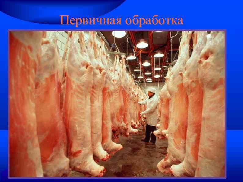 Первичная обработка 