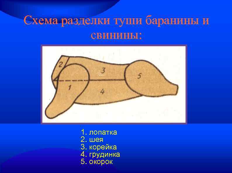 Схема разделки туши баранины и свинины: 1. лопатка 2. шея 3. корейка 4. грудинка