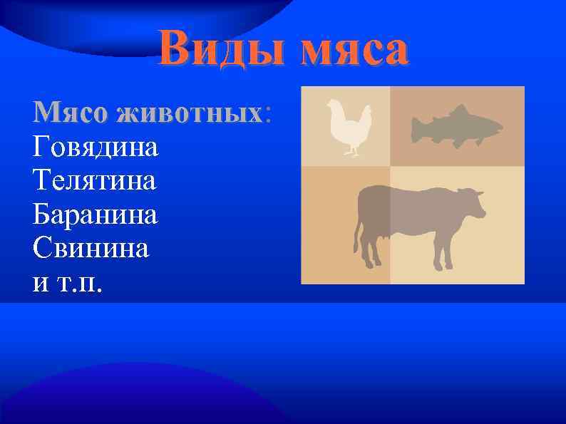 Виды мяса Мясо животных: животных Говядина Телятина Баранина Свинина и т. п. 