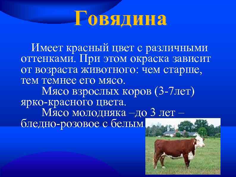 Говядина Имеет красный цвет с различными оттенками. При этом окраска зависит от возраста животного: