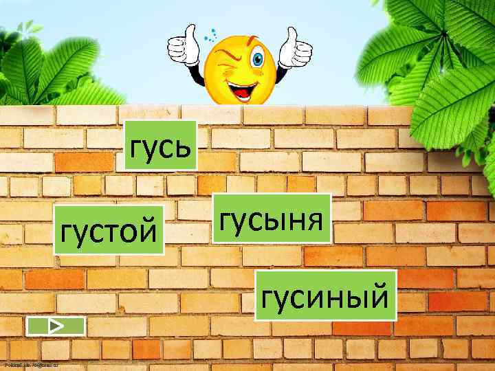 гусь густой гусыня гусиный Fokina. Lida. 75@mail. ru 