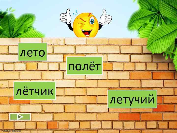 лето лётчик Fokina. Lida. 75@mail. ru полёт летучий 