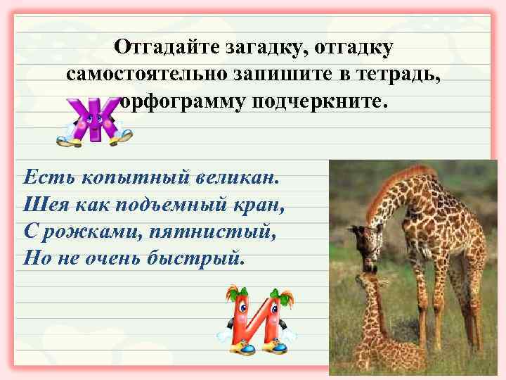 Отгадайте загадку, отгадку самостоятельно запишите в тетрадь, орфограмму подчеркните. Есть копытный великан. Шея как