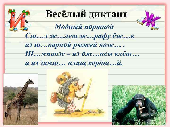 Весёлый диктант Модный портной Сш…л ж…лет ж…рафу ёж…к из ш…карной рыжей кож…. Ш…мпанзе –