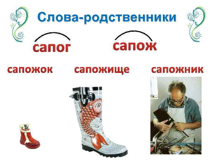 Слова-родственники сапог сапожок сапожище сапожник 