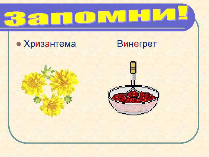 l Хризантема Винегрет 