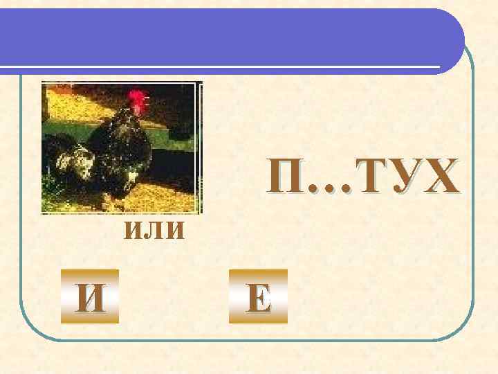 П…ТУХ или И Е 