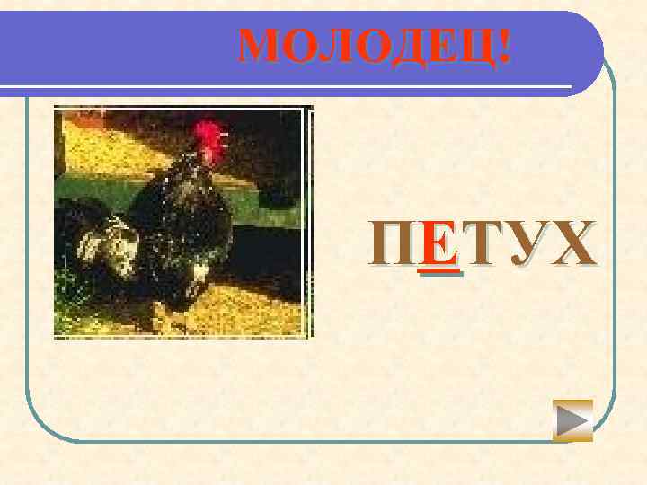 МОЛОДЕЦ! ПЕТУХ 