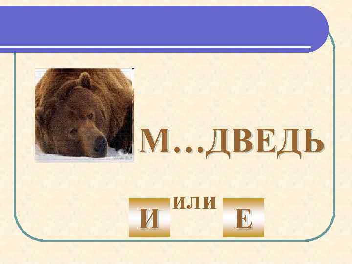 М…ДВЕДЬ И или Е 