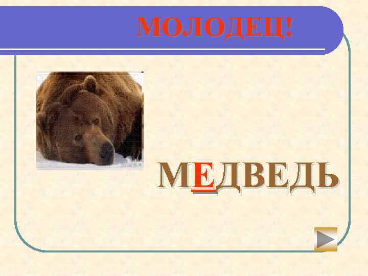 МОЛОДЕЦ! МЕДВЕДЬ 